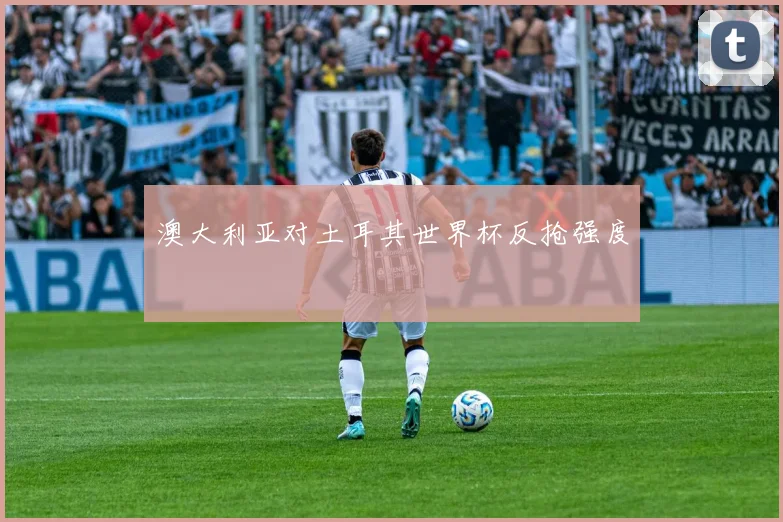 澳大利亚对土耳其世界杯反抢强度