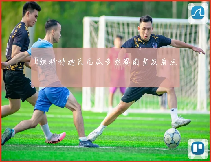 E组科特迪瓦厄瓜多尔赛前首发看点