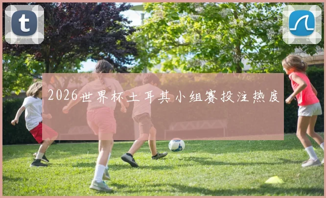 2026世界杯土耳其小组赛投注热度