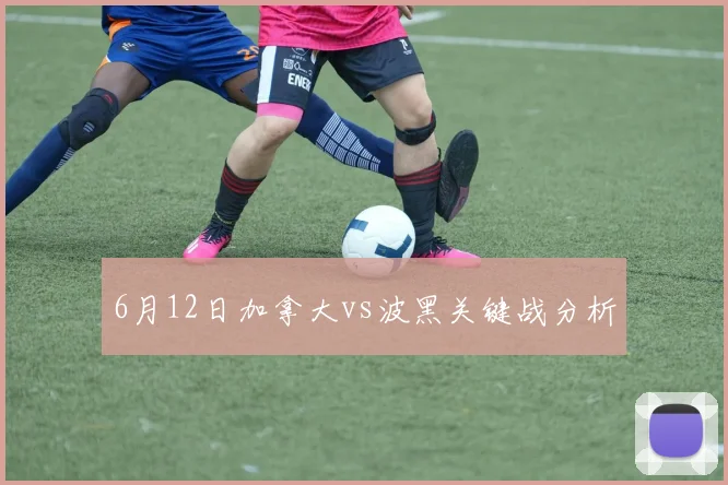 6月12日加拿大vs波黑关键战分析
