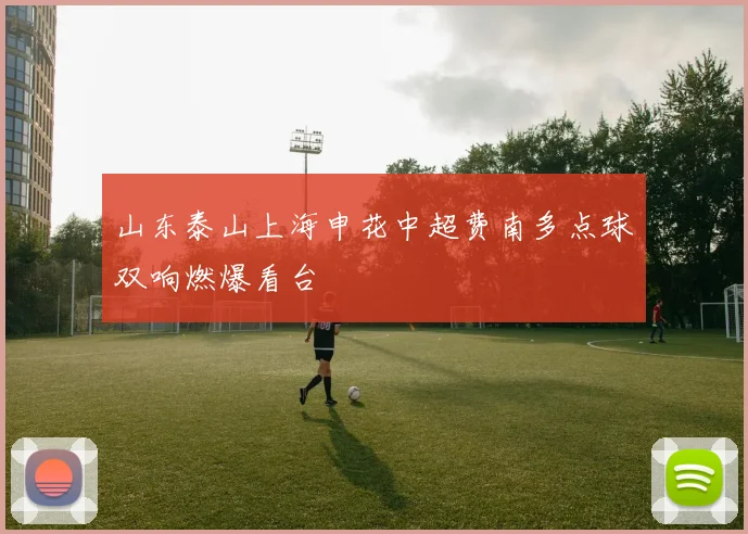 山东泰山上海申花中超费南多点球双响燃爆看台