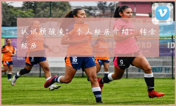 认识颜骏凌：个人经历介绍：转会经历