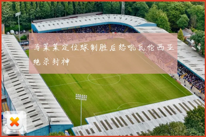 马莱莱定位球制胜后怒吼瓦伦西亚绝杀封神