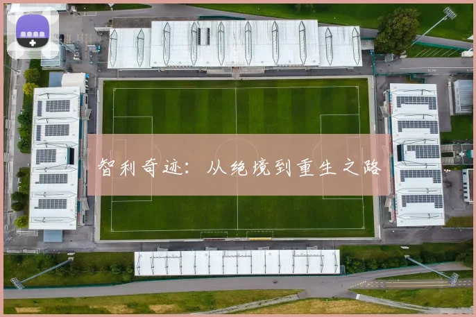 智利奇迹：从绝境到重生之路