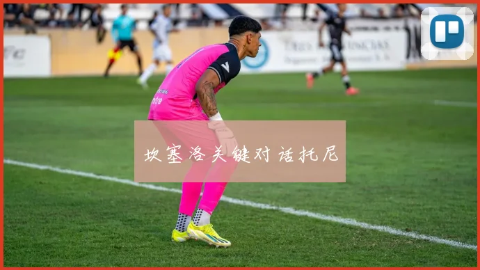 坎塞洛关键对话托尼