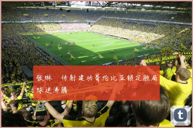 张琳芃传射建功哥伦比亚锁定胜局球迷沸腾
