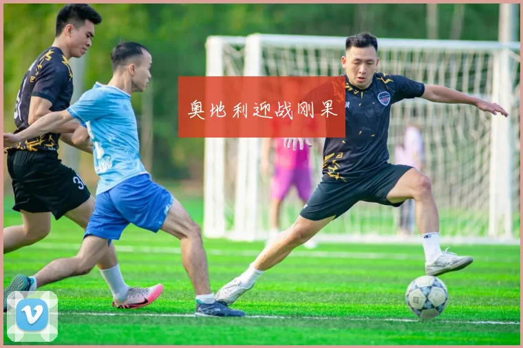奥地利迎战刚果