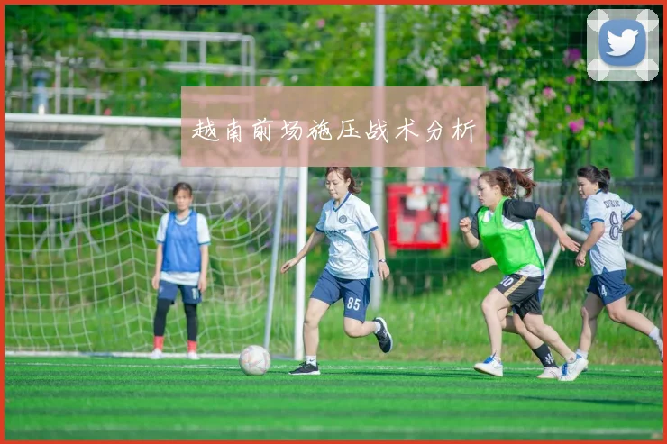 越南前场施压战术分析