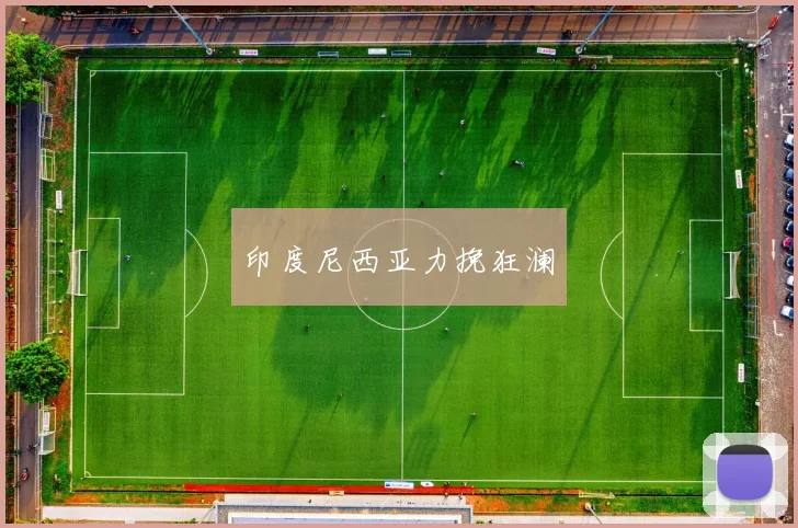 印度尼西亚力挽狂澜