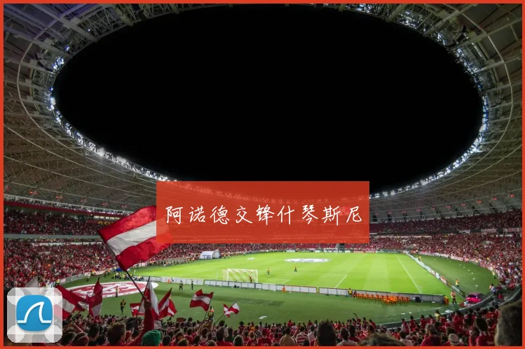 阿诺德交锋什琴斯尼
