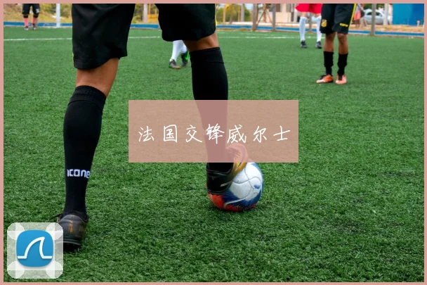 法国交锋威尔士