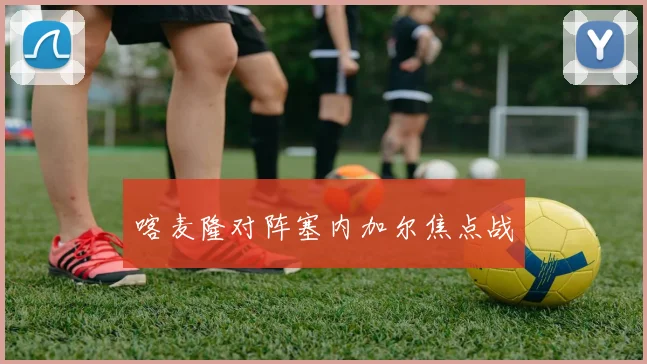 喀麦隆对阵塞内加尔焦点战