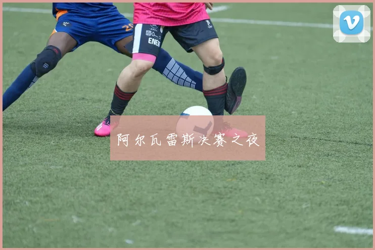 阿尔瓦雷斯决赛之夜
