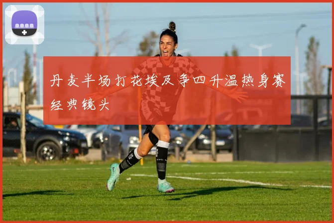 丹麦半场打花埃及争四升温热身赛经典镜头