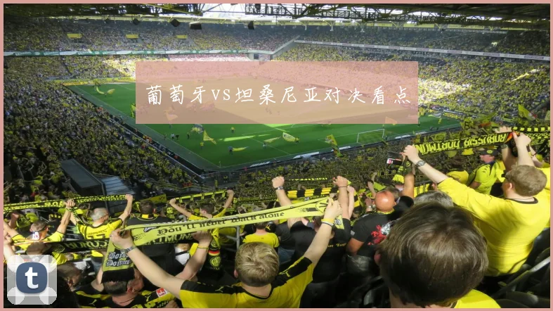 葡萄牙vs坦桑尼亚对决看点
