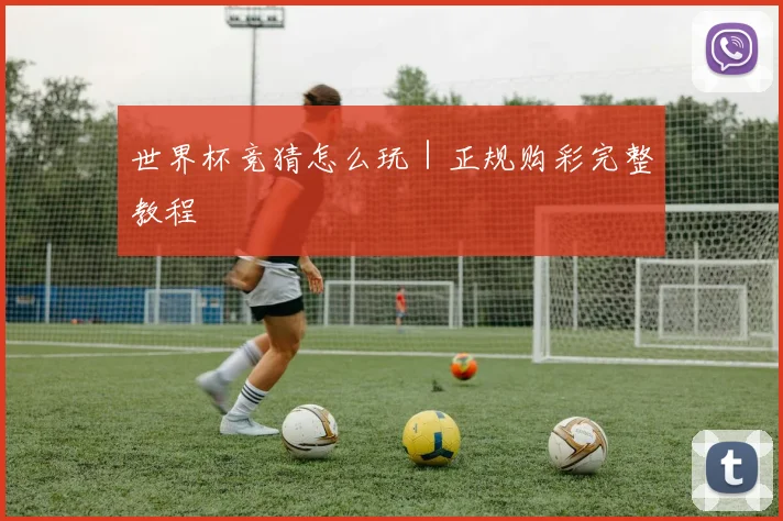 世界杯竞猜怎么玩｜正规购彩完整教程
