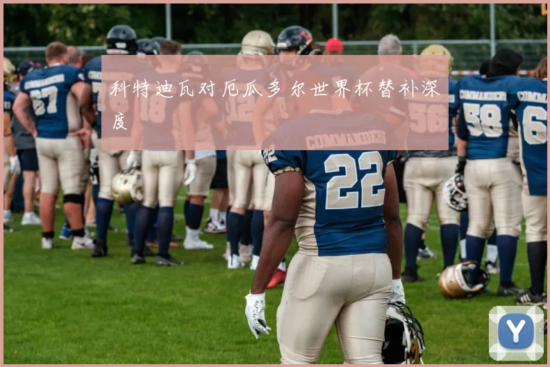 科特迪瓦对厄瓜多尔世界杯替补深度