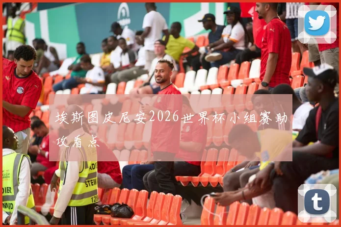埃斯图皮尼安2026世界杯小组赛助攻看点