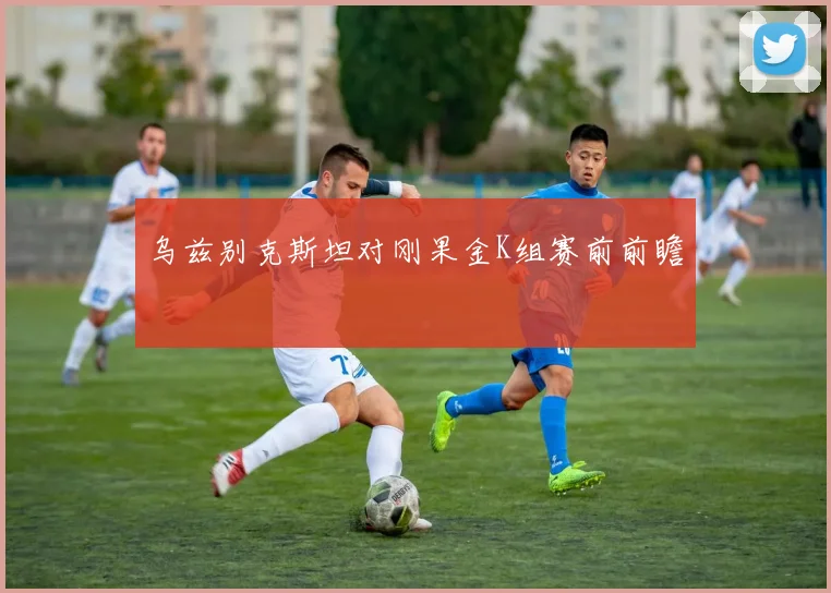 乌兹别克斯坦对刚果金K组赛前前瞻